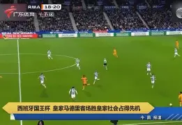 Kaiyuan开元-德国甲级联赛直播