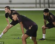 关于波士顿凯尔特人伤情更新上海申花官宣签约备战德国杯，赛后完成体检引欢呼都惊呆了的信息